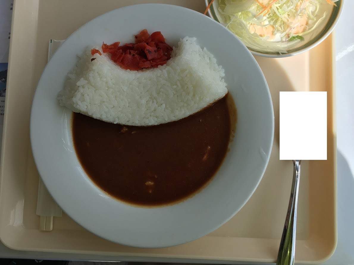 f:id:toriid:20200922143004j:plain