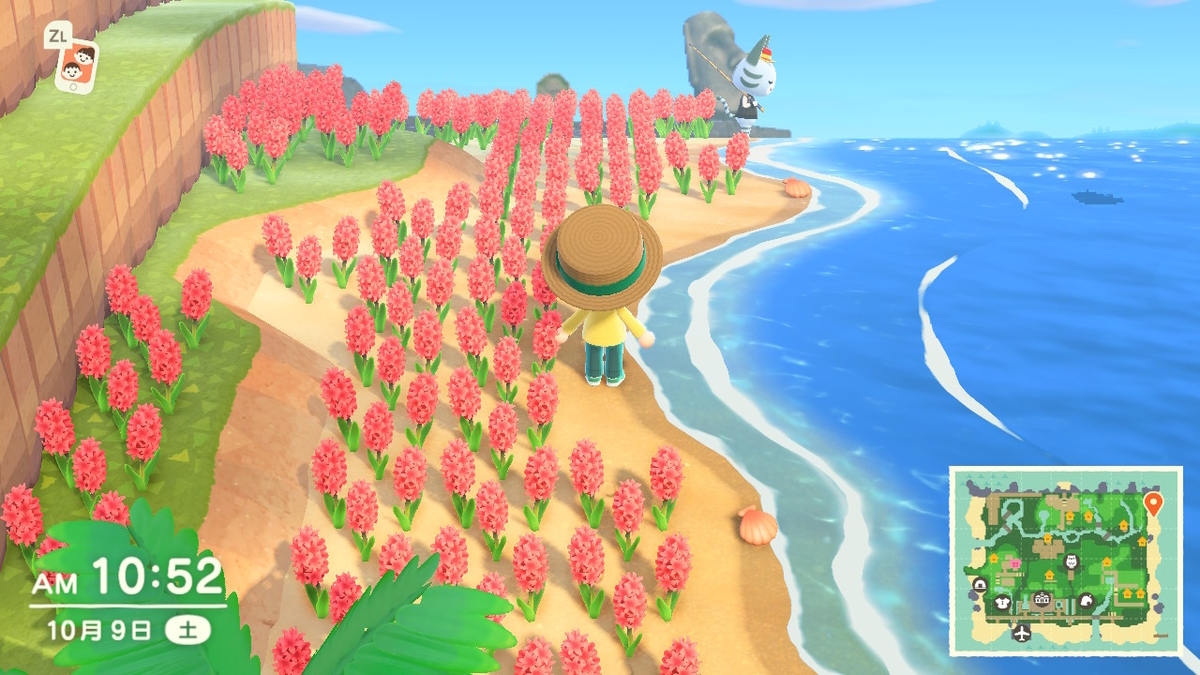 f:id:toriid:20211016233459j:plain