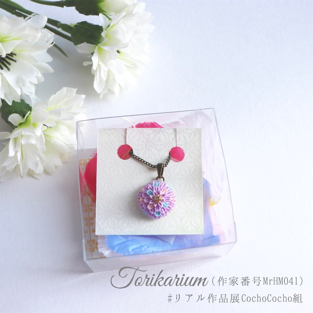 f:id:torikarium:20190317023227j:image f:id:torikarium:20190317023227j:image