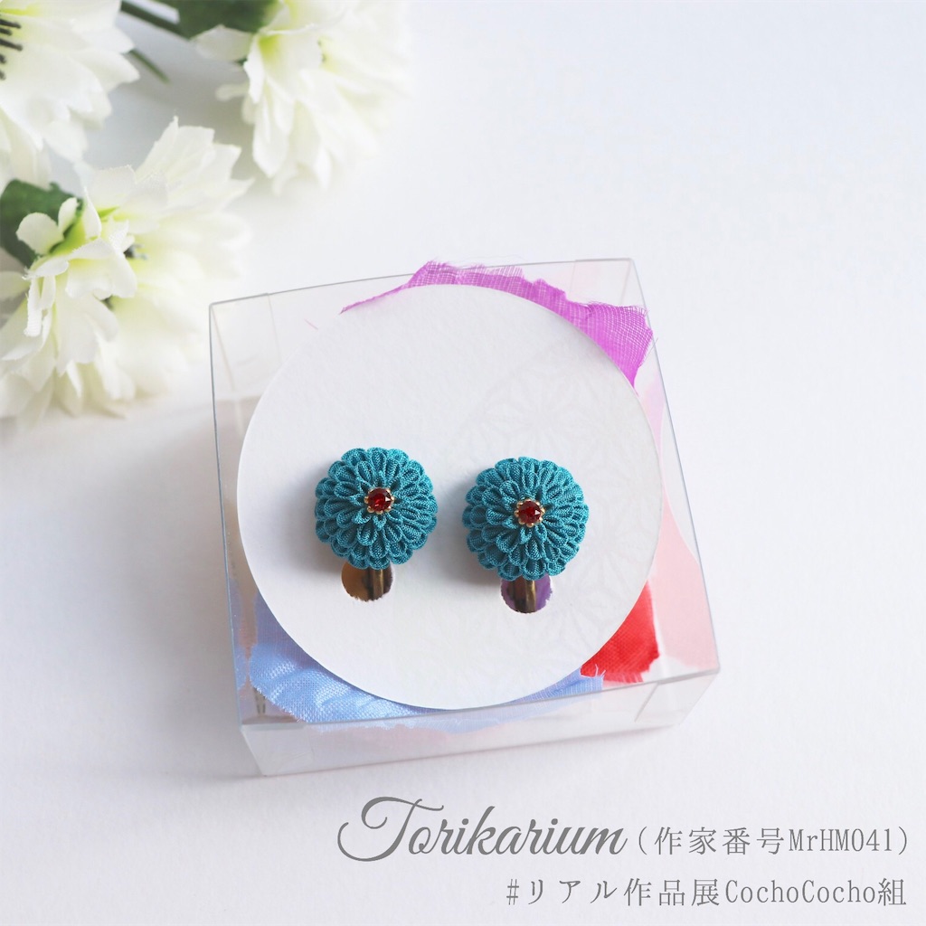 f:id:torikarium:20190317023359j:image f:id:torikarium:20190317023359j:image