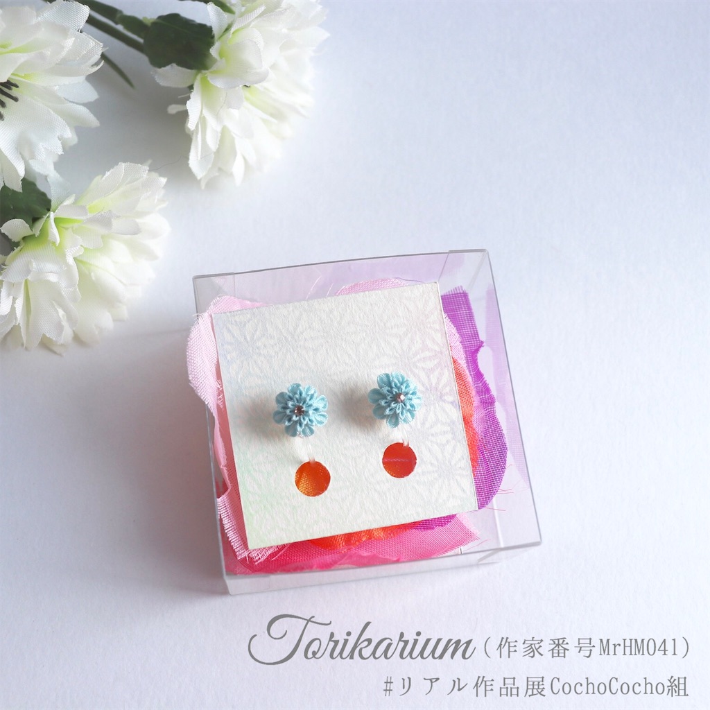 f:id:torikarium:20190317023922j:image f:id:torikarium:20190317023922j:image