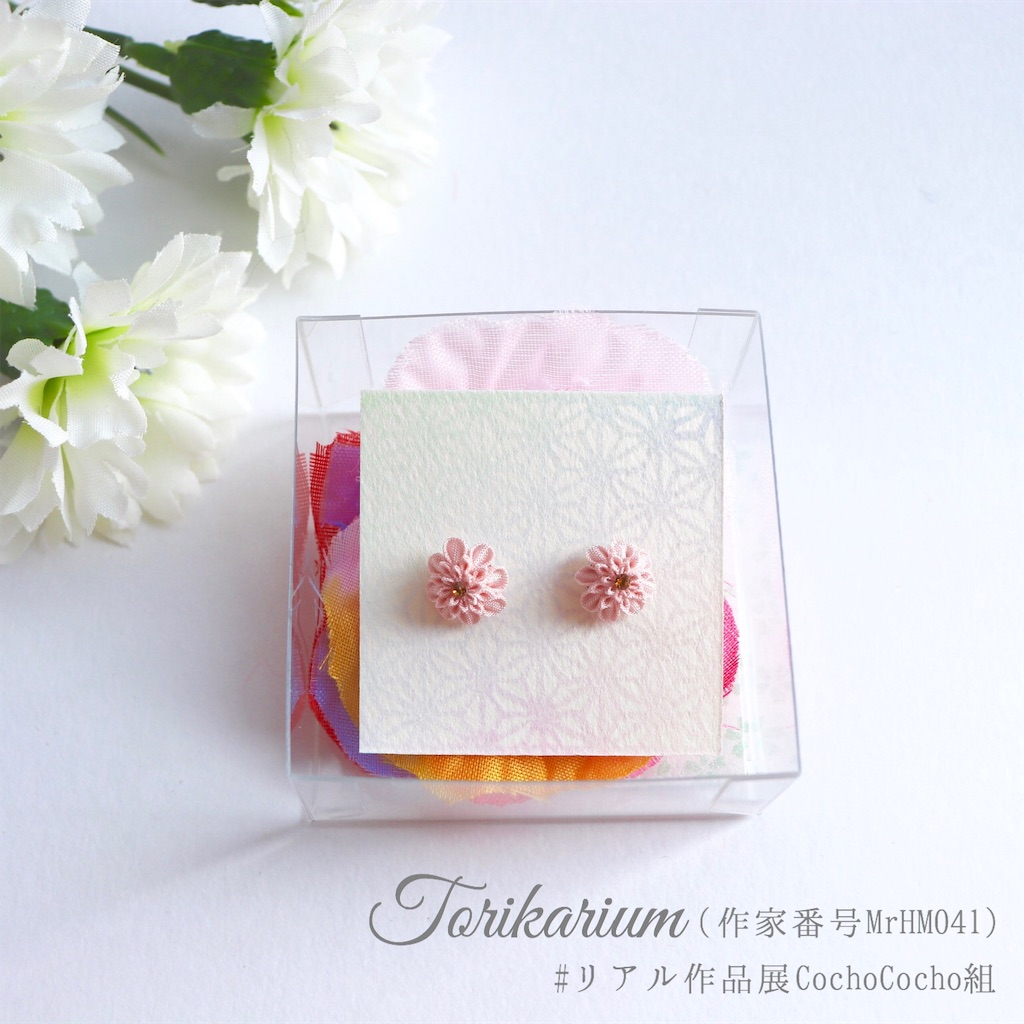 f:id:torikarium:20190317024107j:image f:id:torikarium:20190317024107j:image