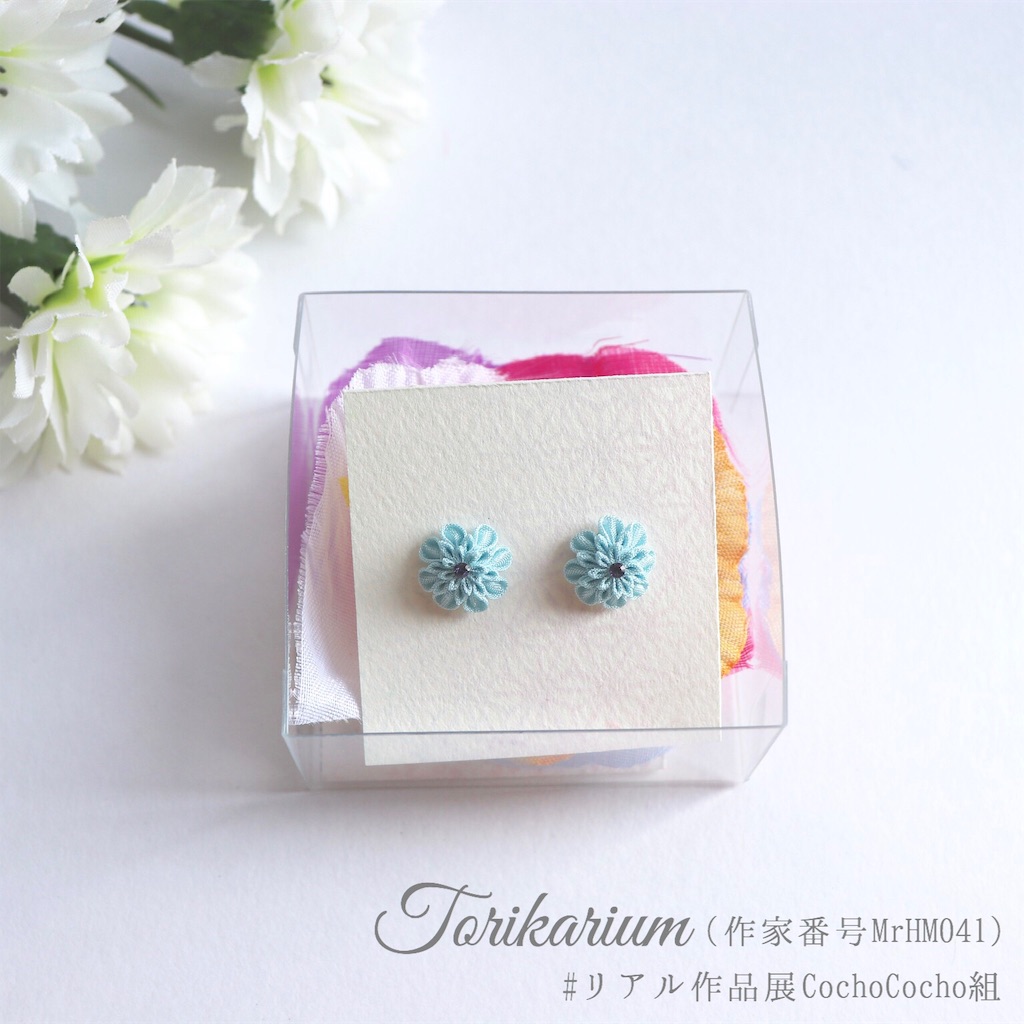 f:id:torikarium:20190317024111j:image f:id:torikarium:20190317024111j:image