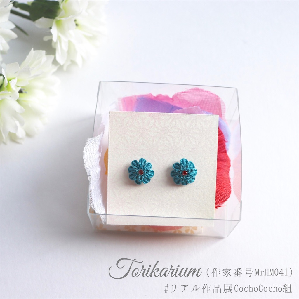 f:id:torikarium:20190317024123j:image f:id:torikarium:20190317024123j:image