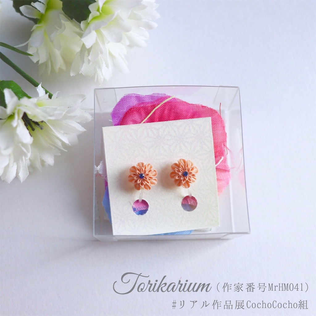 f:id:torikarium:20190317024129j:image f:id:torikarium:20190317024129j:image