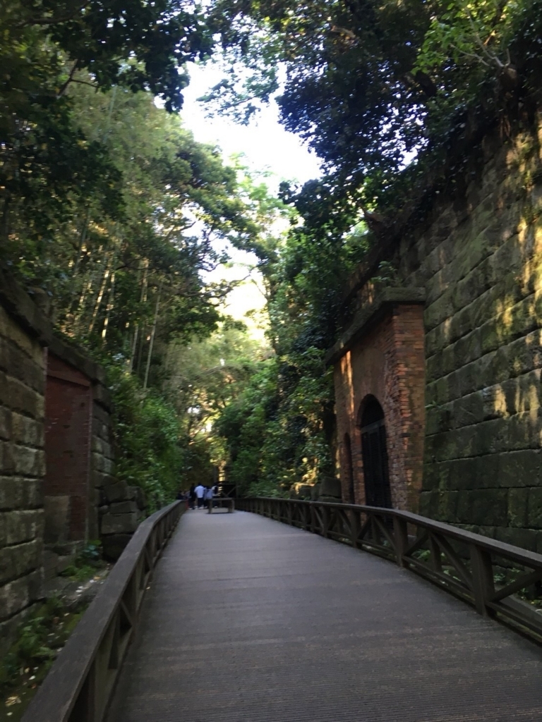f:id:torikawaparipari:20180521220439j:plain