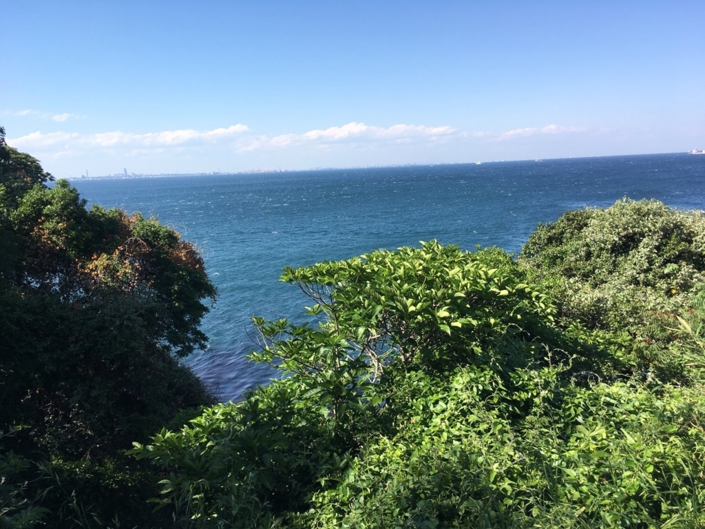 f:id:torikawaparipari:20180521220751j:plain f:id:torikawaparipari:20180521220751j:plain