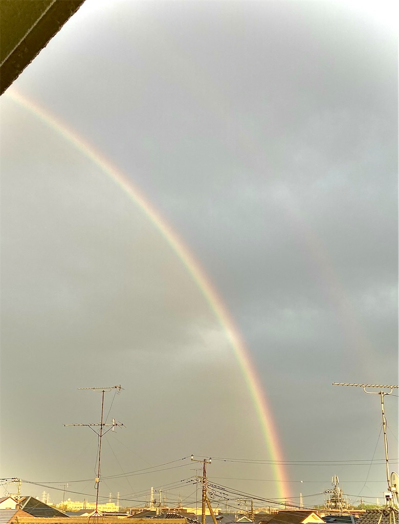 f:id:torikoNOTE7-techo:20260427180750j:image