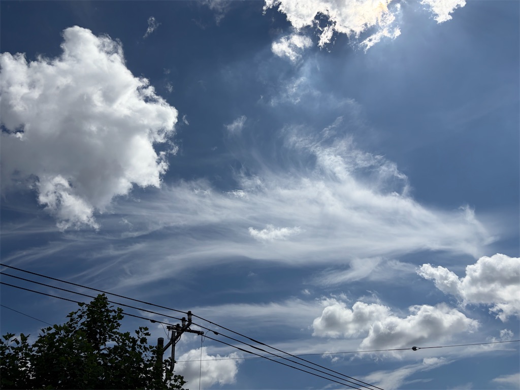 f:id:torikoNOTE7-techo:20260819073045j:image