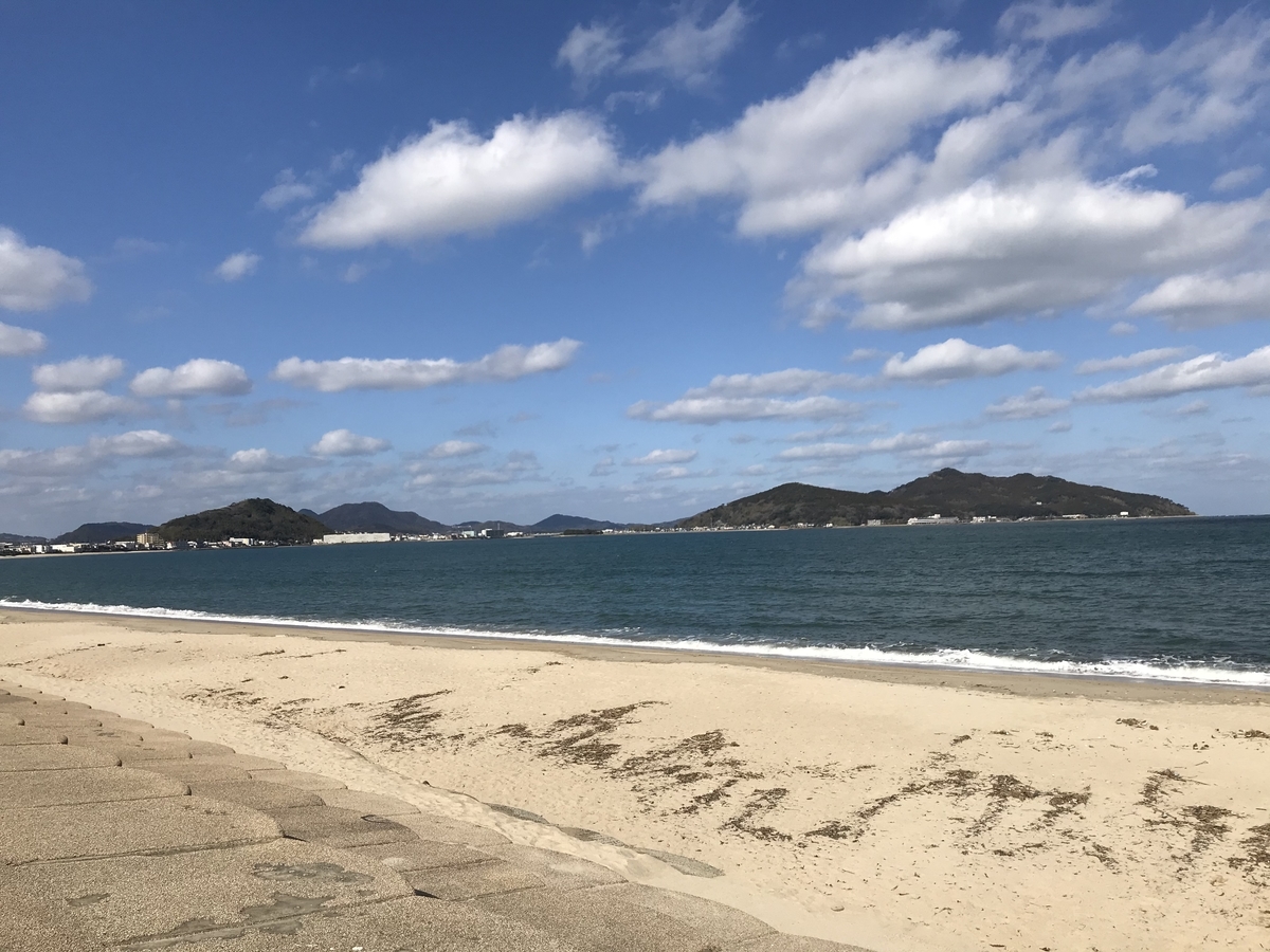 f:id:torikosan22:20210119190912j:plain