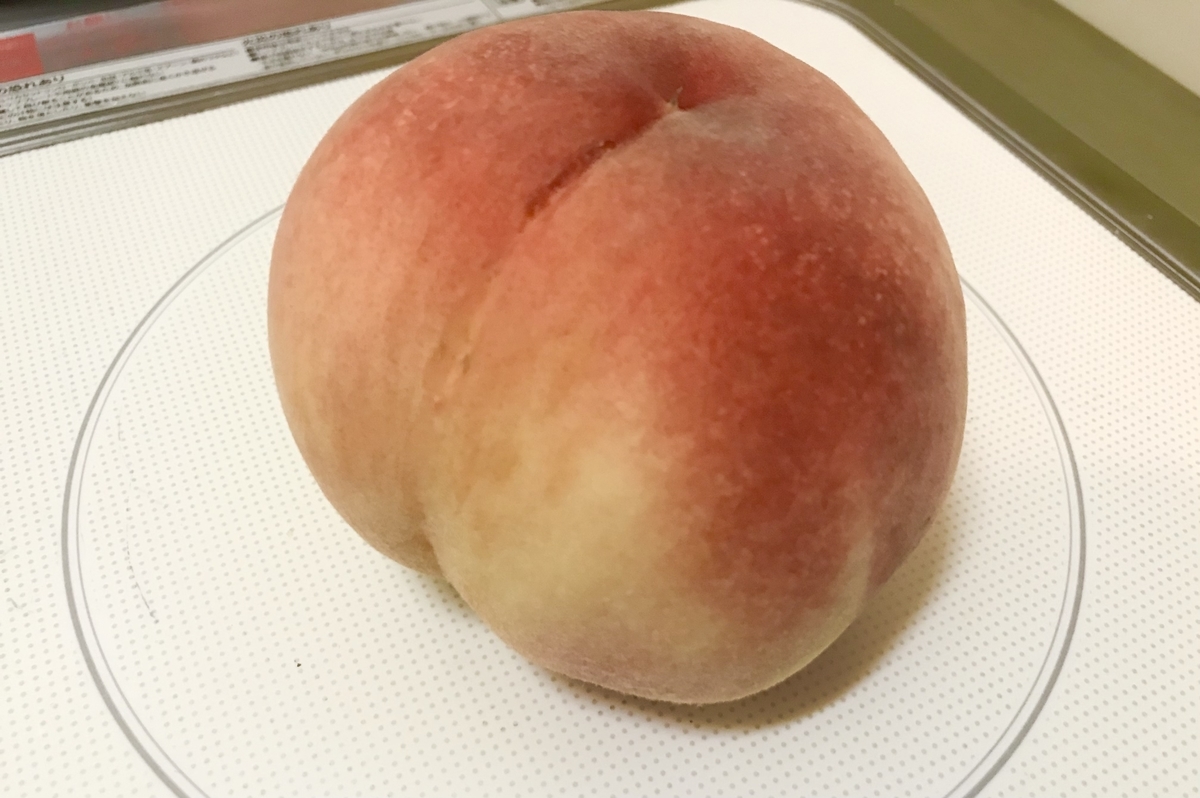 f:id:torikosan22:20210728212559j:plain