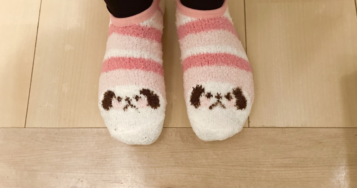 f:id:torikosan22:20220108204356j:plain