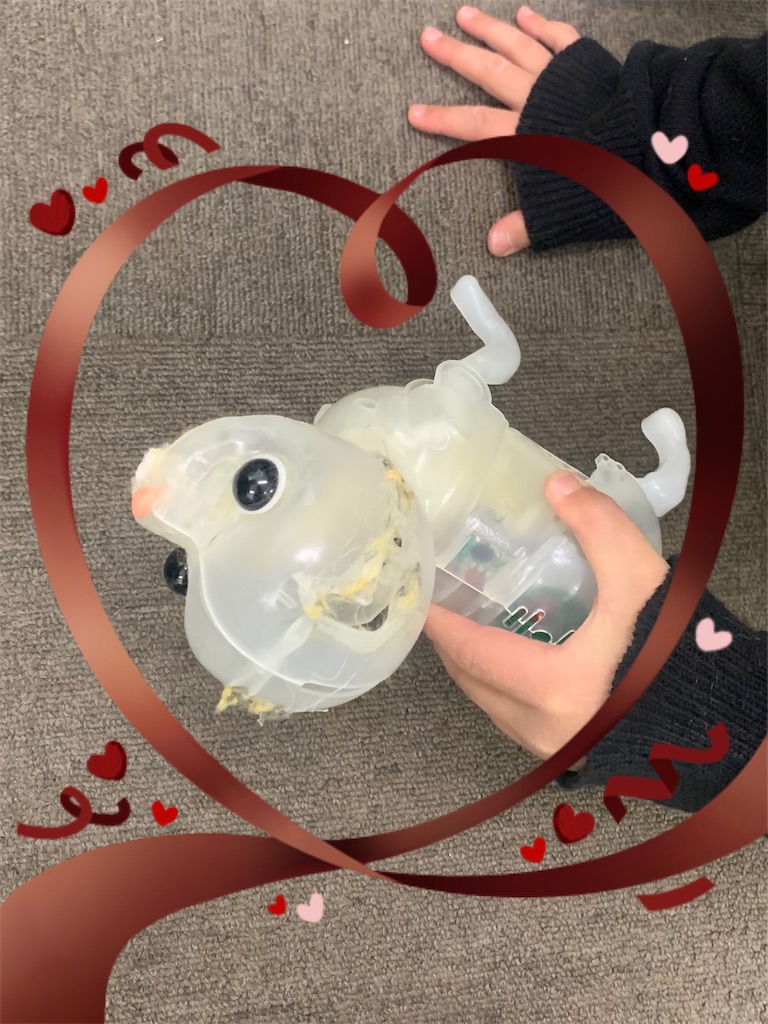 f:id:torikumi:20250211140818j:image