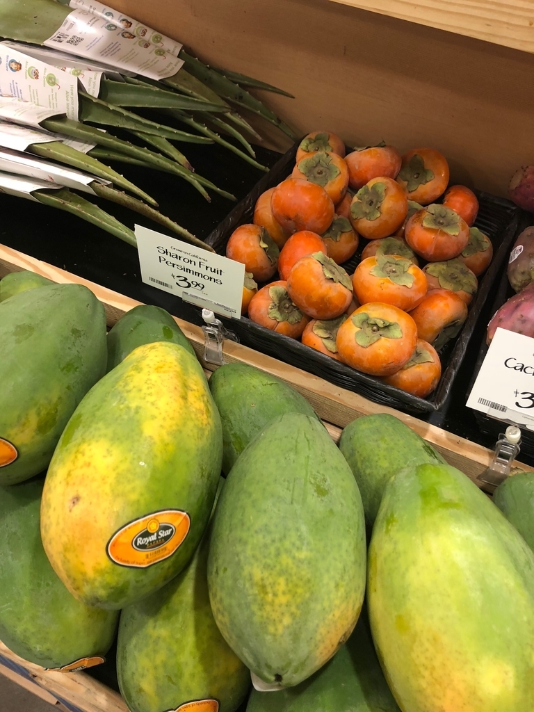 f:id:torilover:20181008145320j:plain