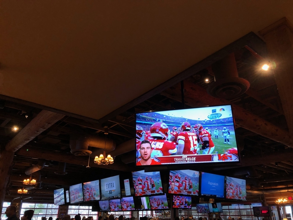 f:id:torilover:20190114150528j:plain