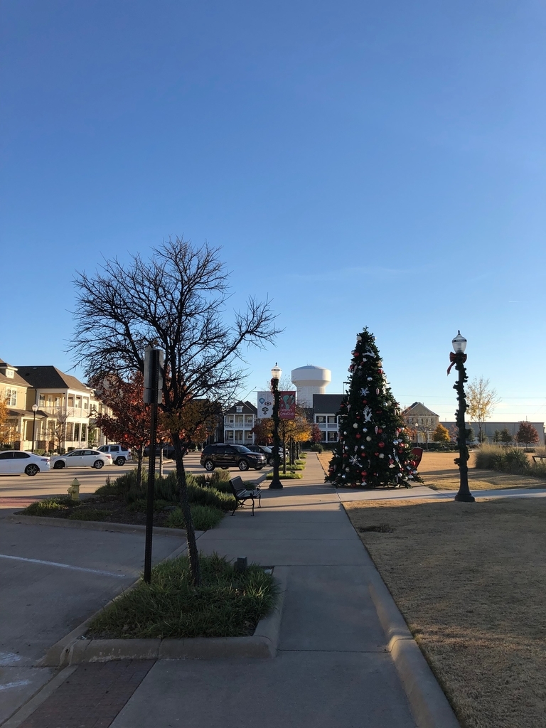 f:id:torilover:20190127163733j:plain