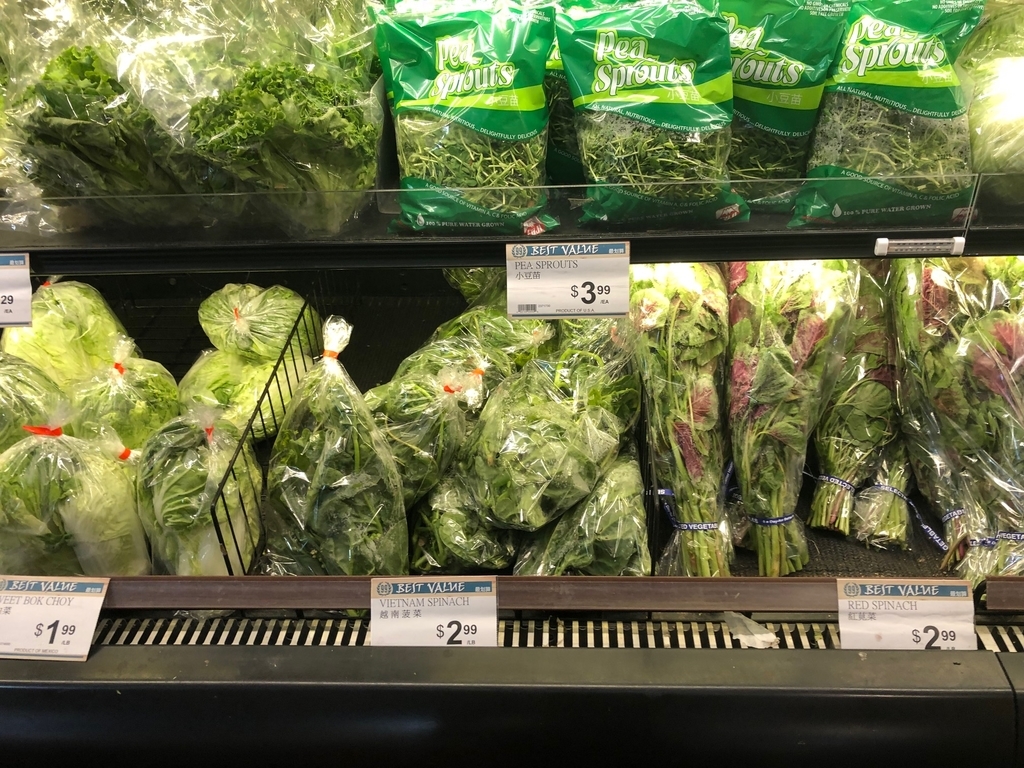 内*州様 H.Ranch Marketジャンパーダークグリーン スーパーでお買い物⑮：99Ranch Market(台湾系スーパー)で買える