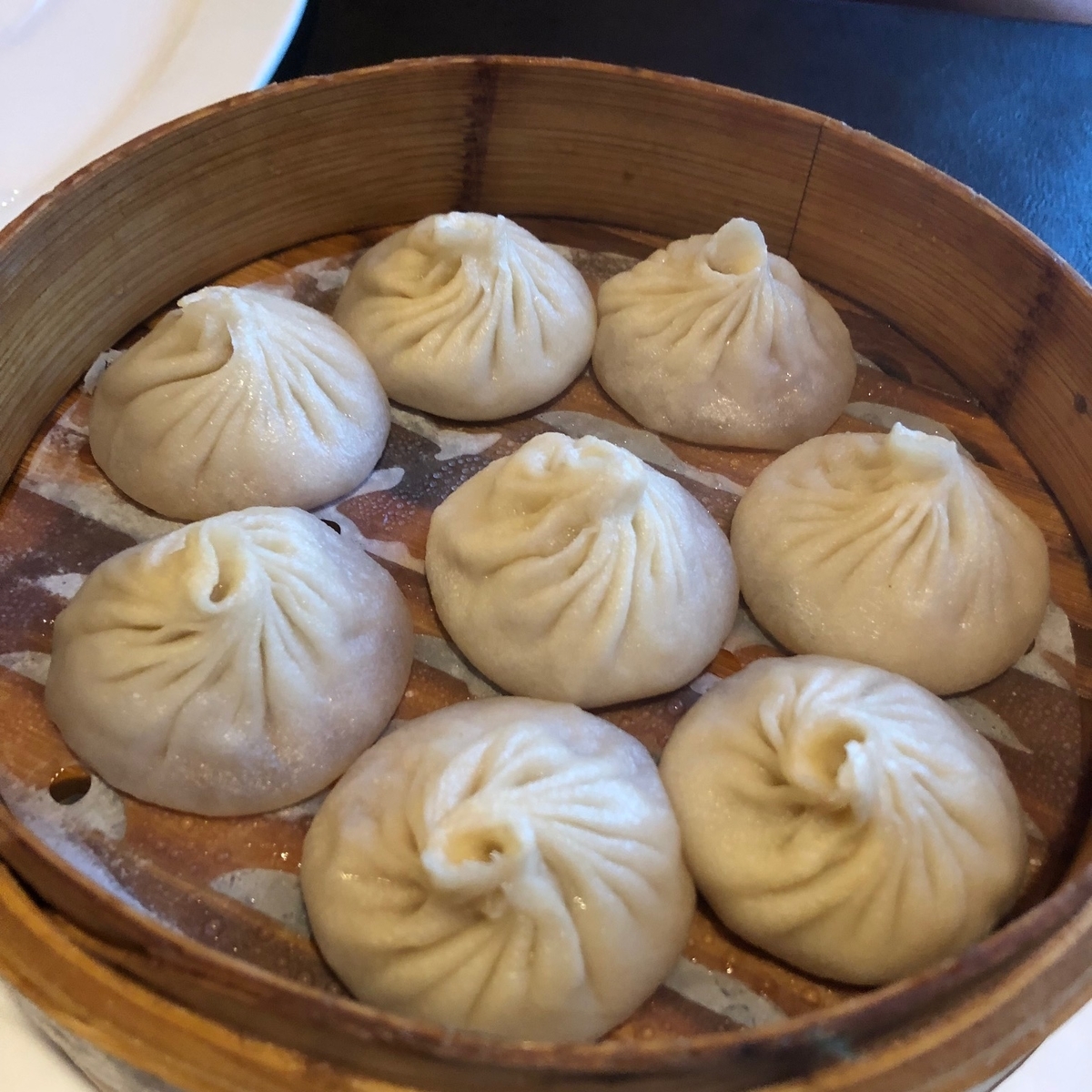 f:id:torilover:20190702204332j:plain