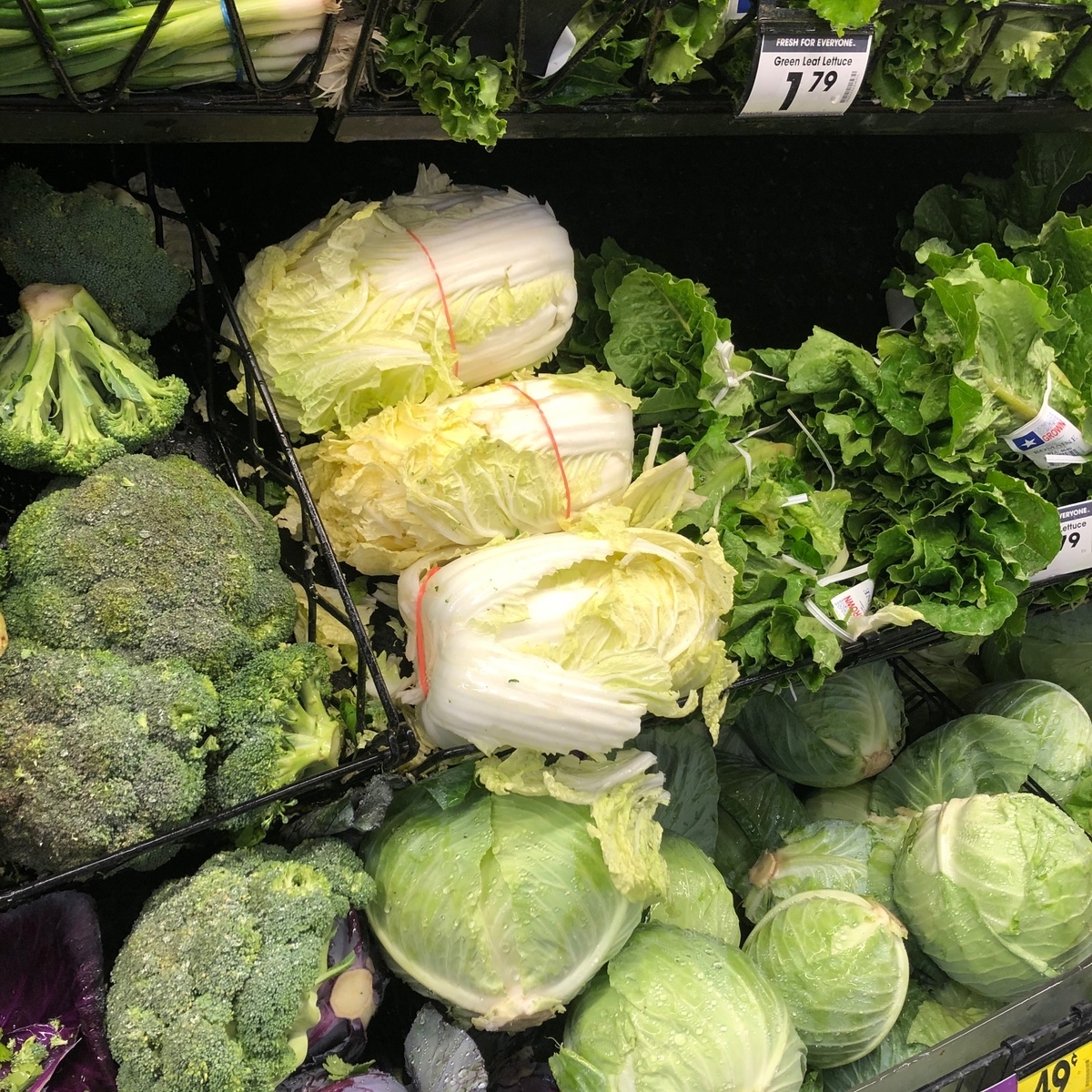 f:id:torilover:20200103002243j:plain