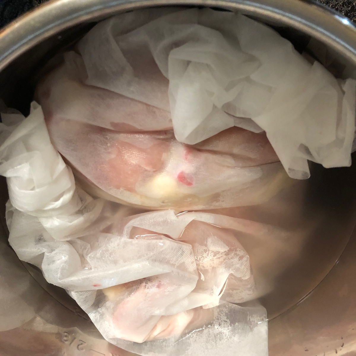 f:id:torilover:20200113231951j:plain