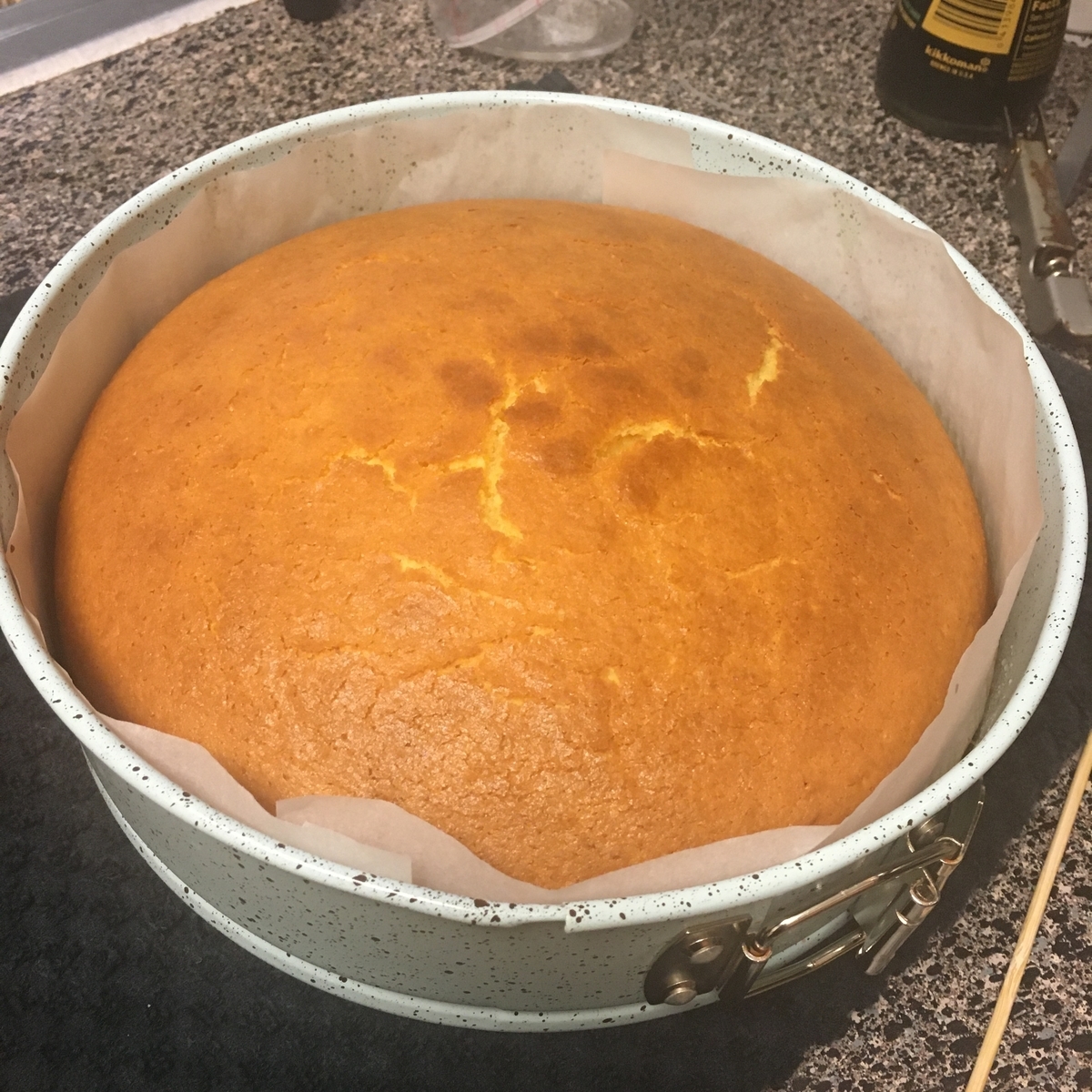 f:id:torilover:20200316112603j:plain