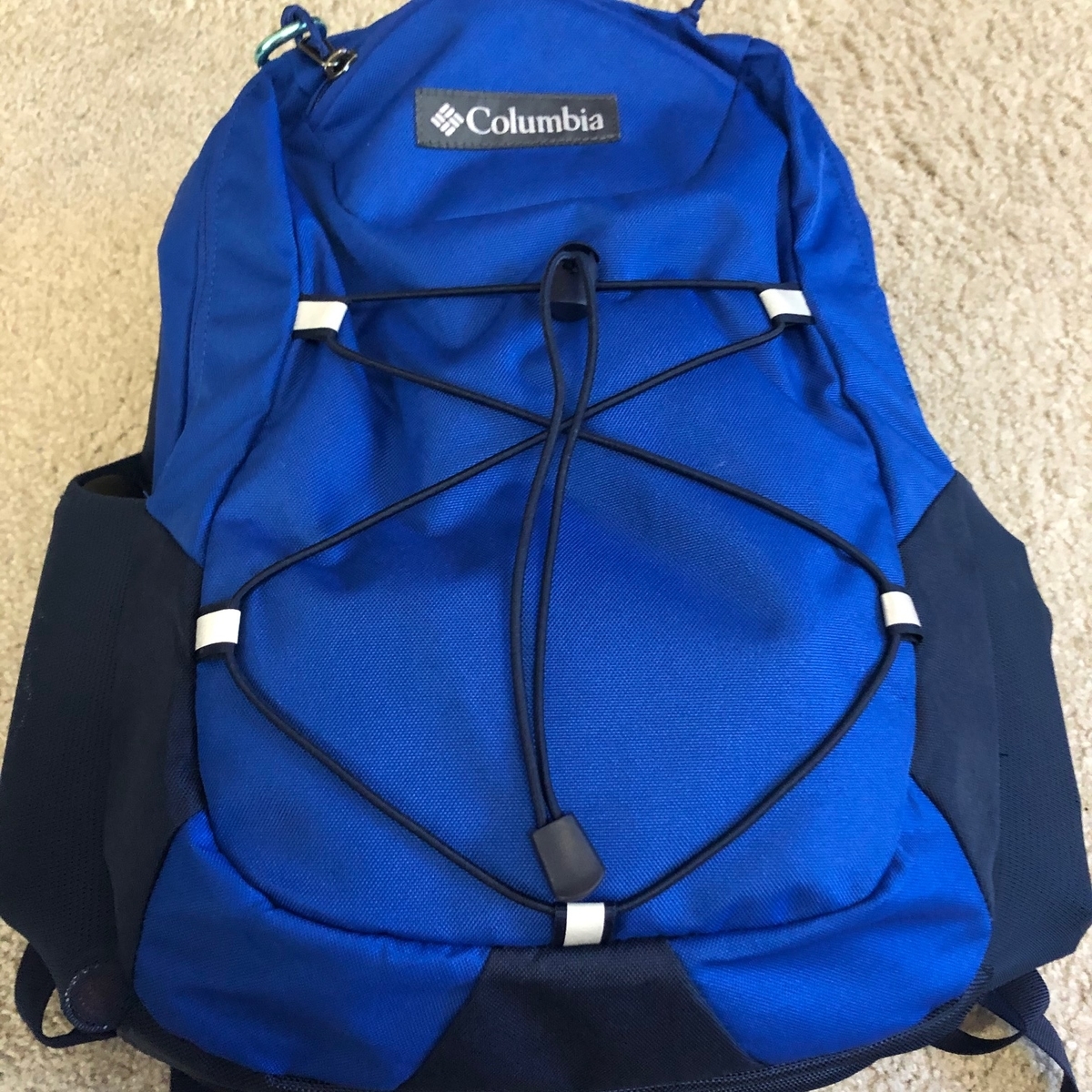 f:id:torilover:20200530151056j:plain f:id:torilover:20200530151056j:plain