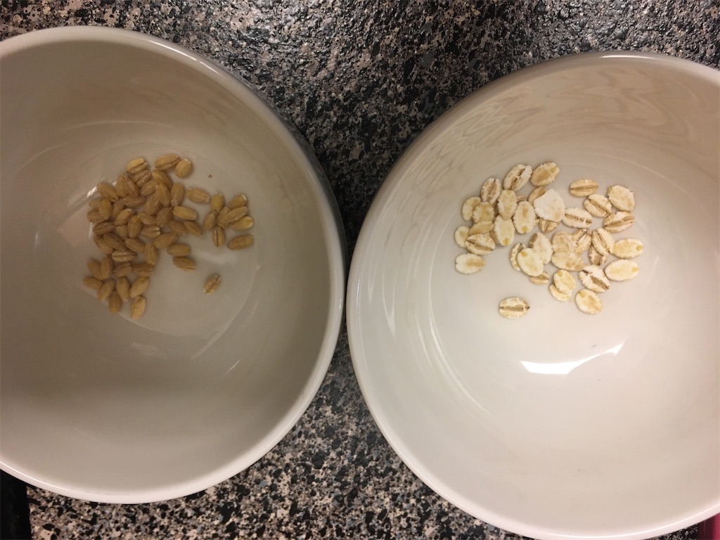 f:id:torilover:20200820174827j:image