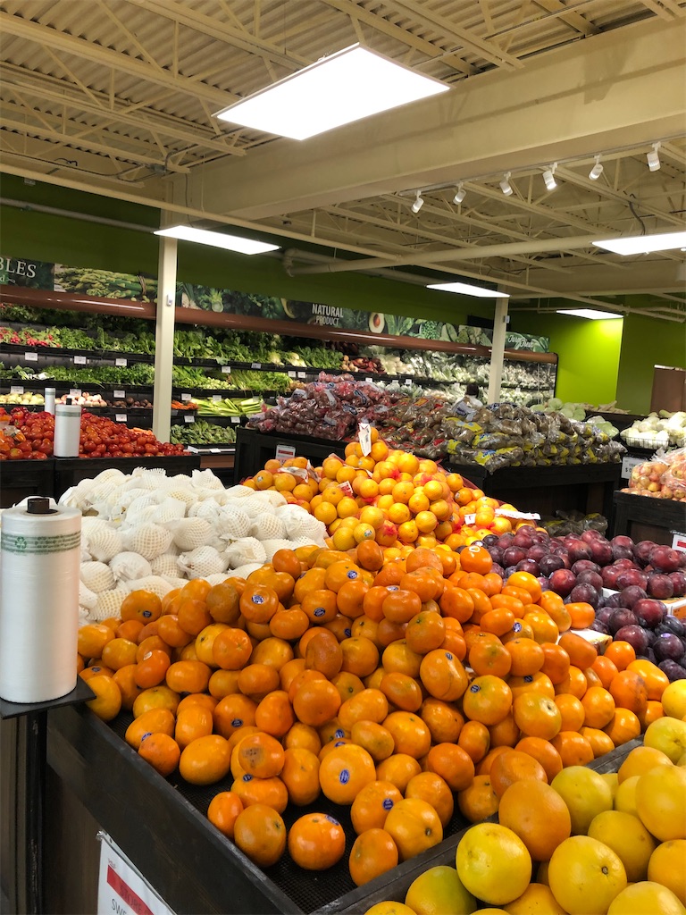 f:id:torilover:20201028081754j:image f:id:torilover:20201028081754j:image