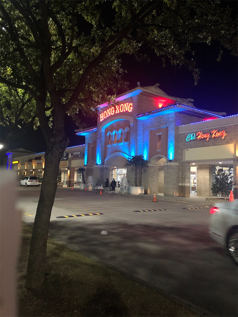 f:id:torilover:20201220133854j:image