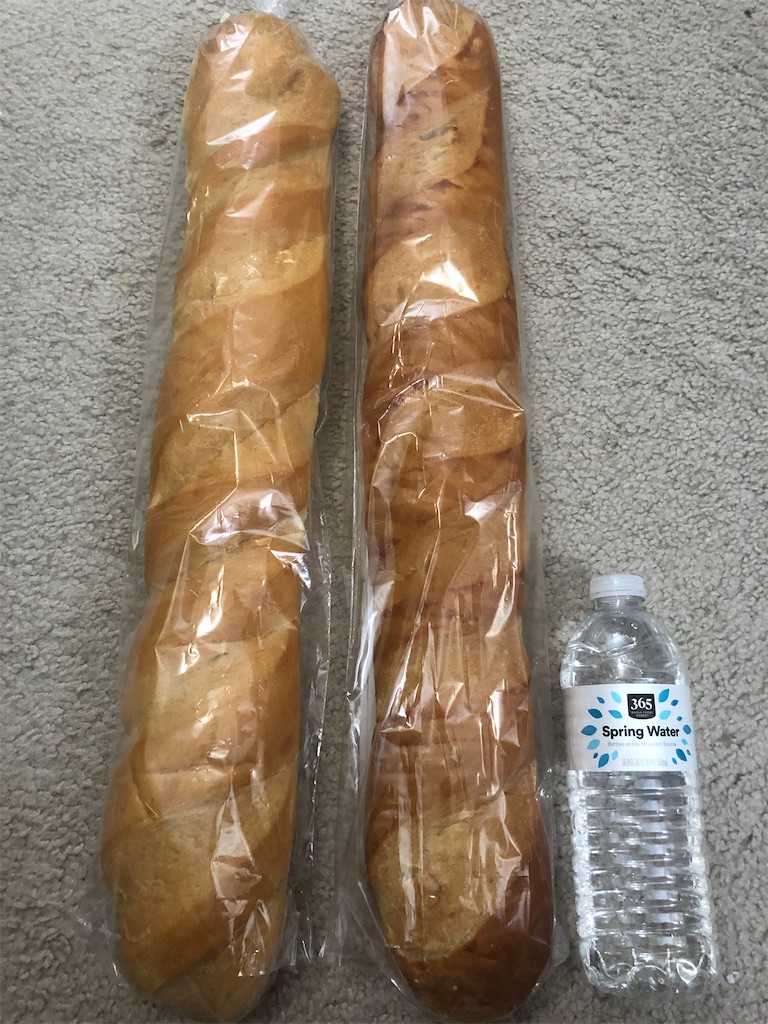 f:id:torilover:20210816171905j:image