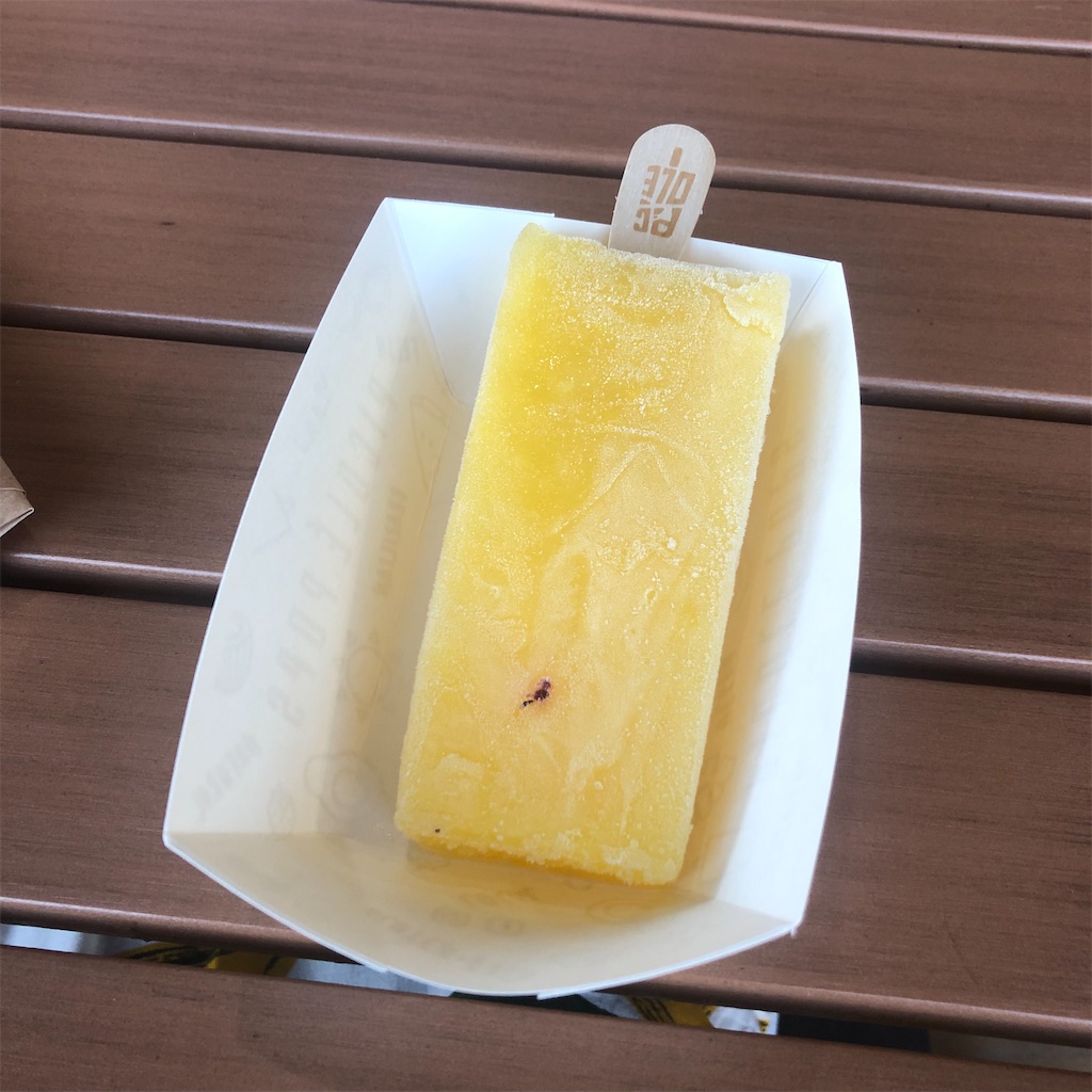 f:id:torilover:20220626170316j:image