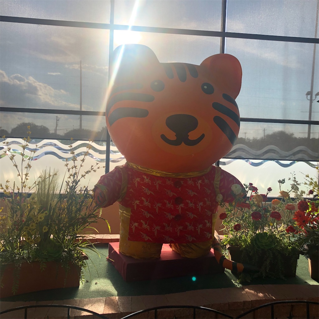 f:id:torilover:20220828200005j:image f:id:torilover:20220828200005j:image