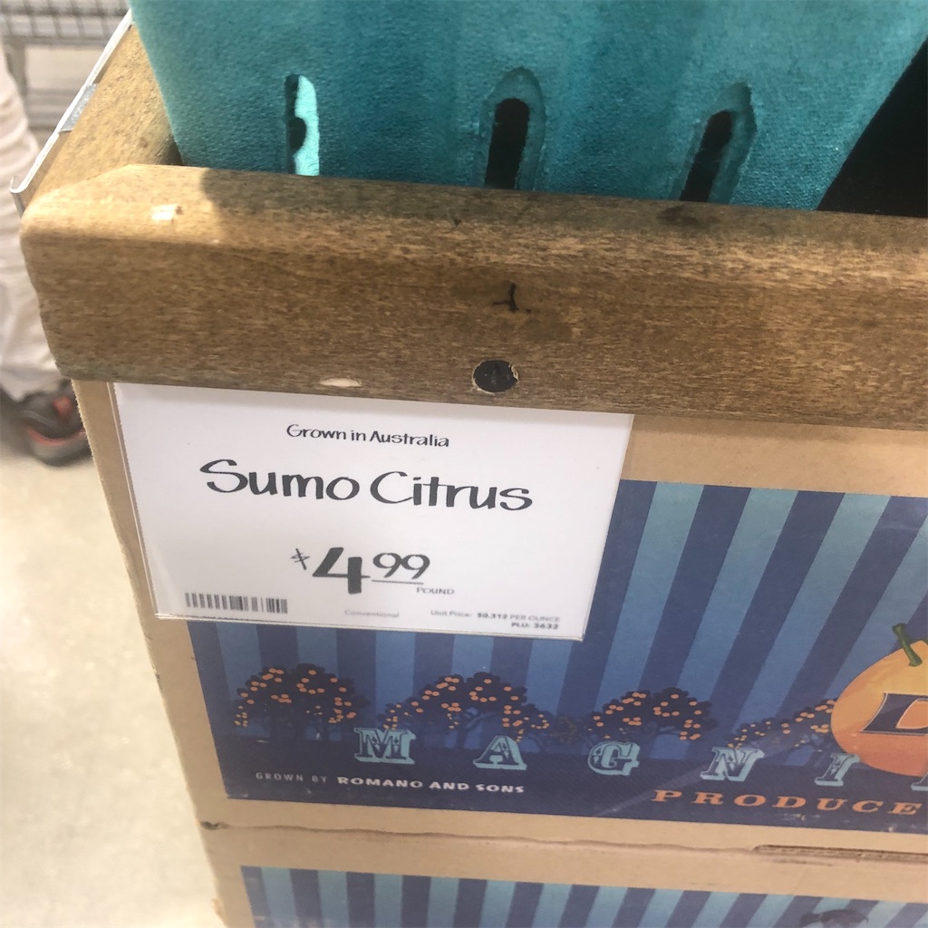 f:id:torilover:20221008030609j:image