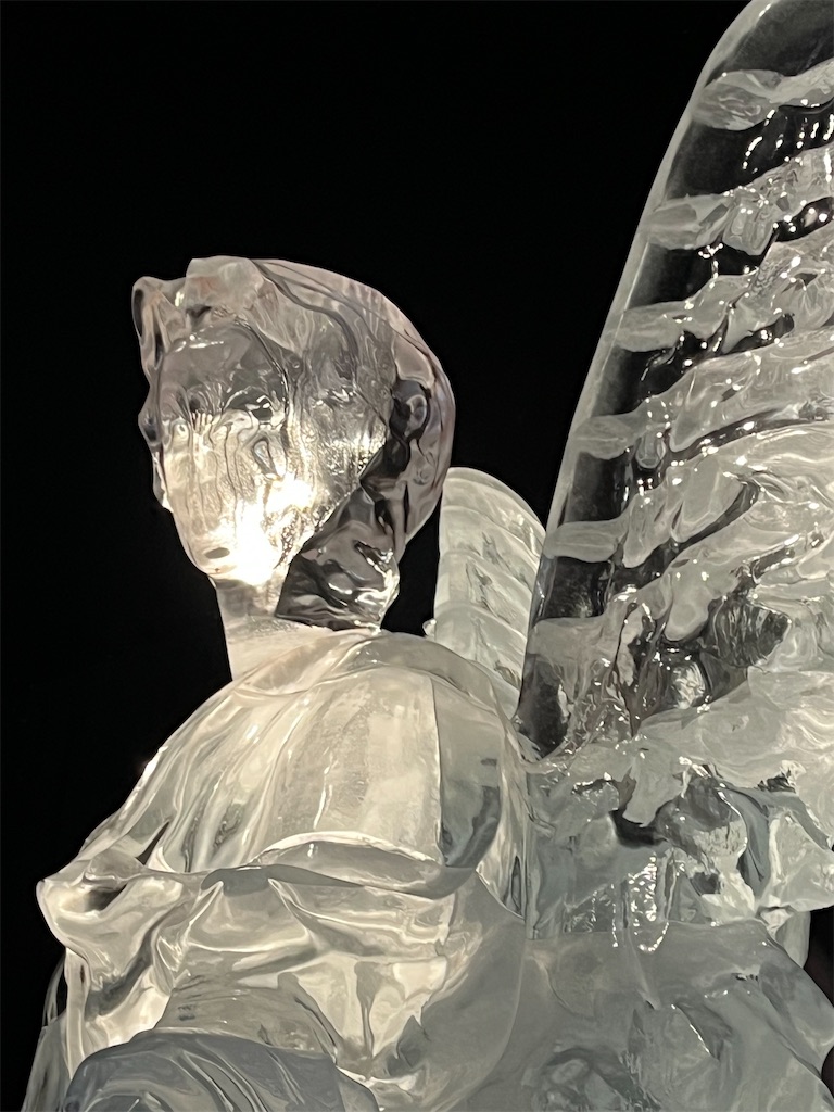 f:id:torilover:20230104174036j:image f:id:torilover:20230104174036j:image