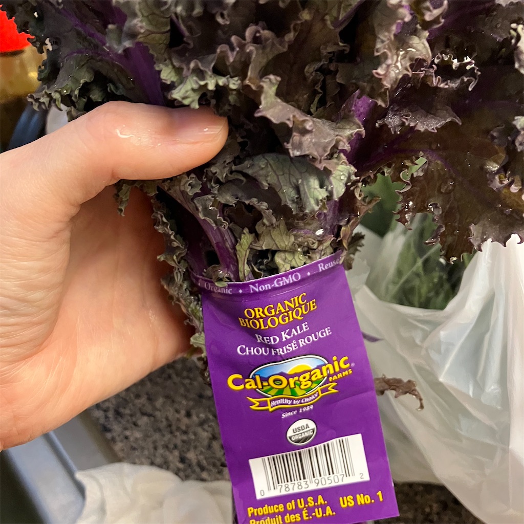 f:id:torilover:20230306173705j:image