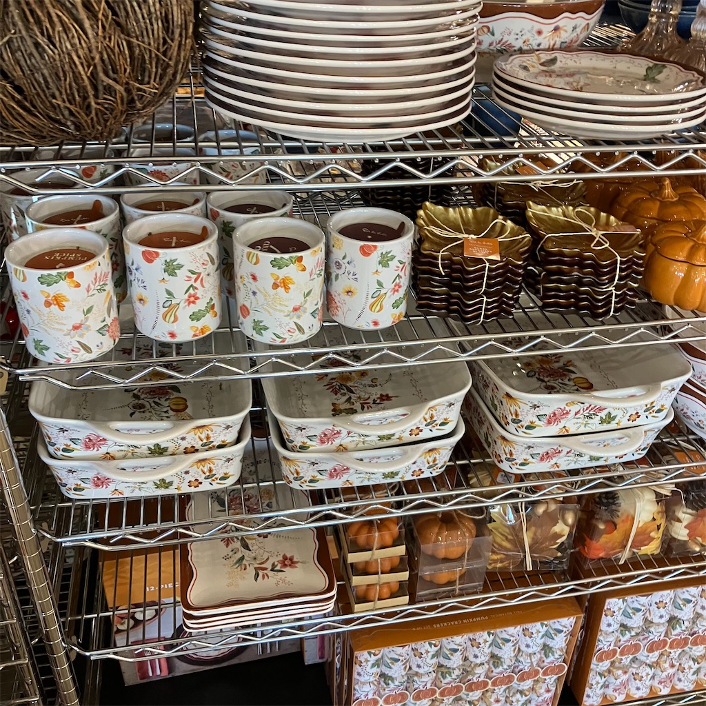 f:id:torilover:20231120162729j:image