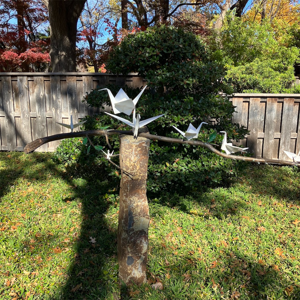 f:id:torilover:20231215121955j:image f:id:torilover:20231215121955j:image