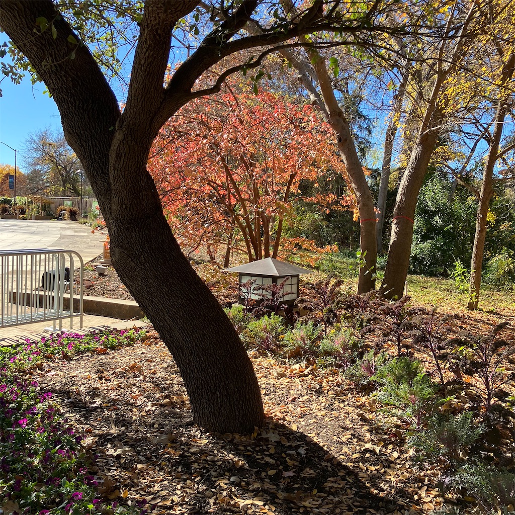 f:id:torilover:20231215122004j:image f:id:torilover:20231215122004j:image