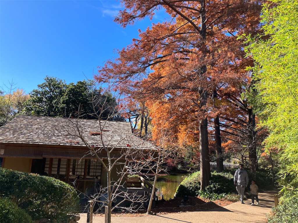 f:id:torilover:20231215122052j:image f:id:torilover:20231215122052j:image