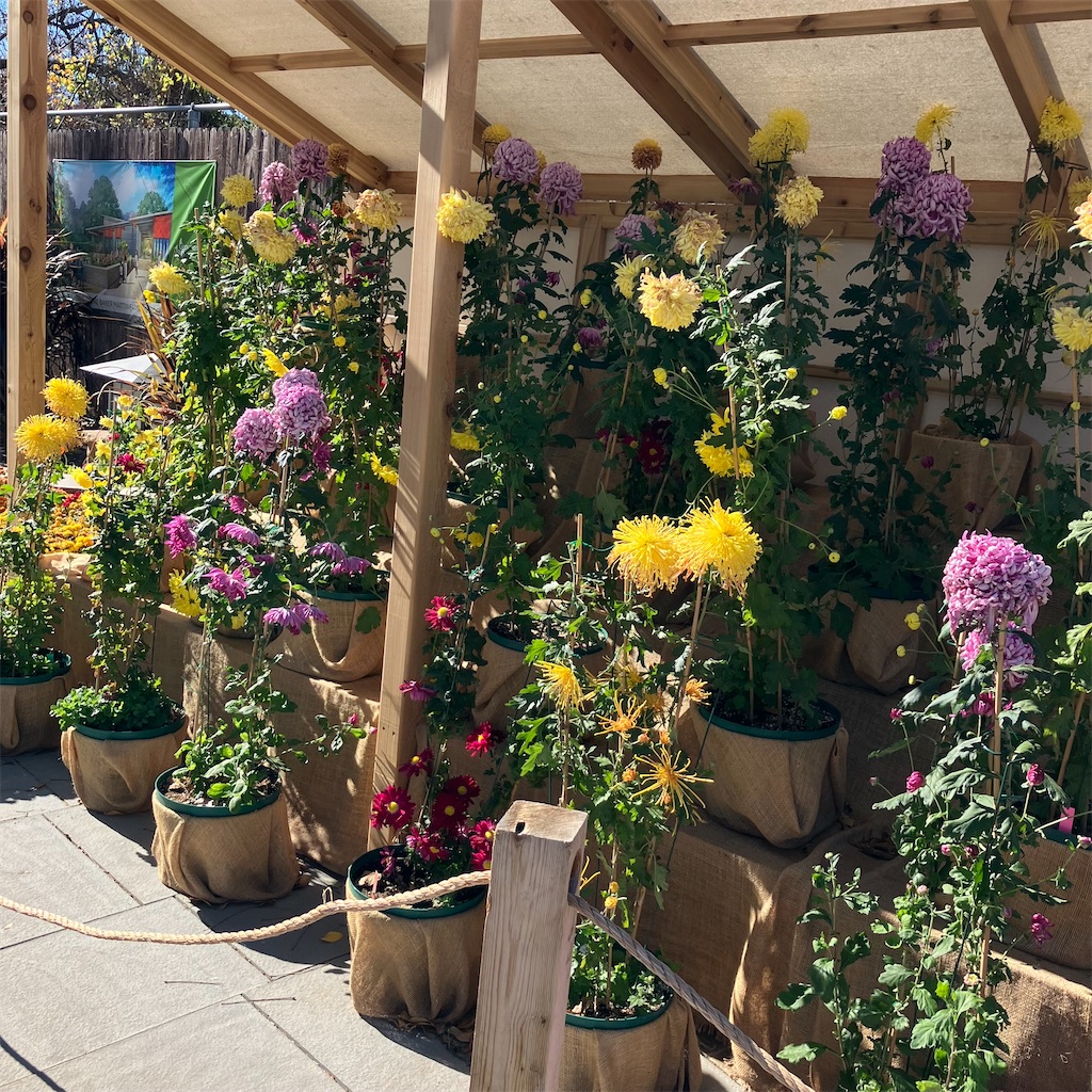 f:id:torilover:20231215122103j:image f:id:torilover:20231215122103j:image