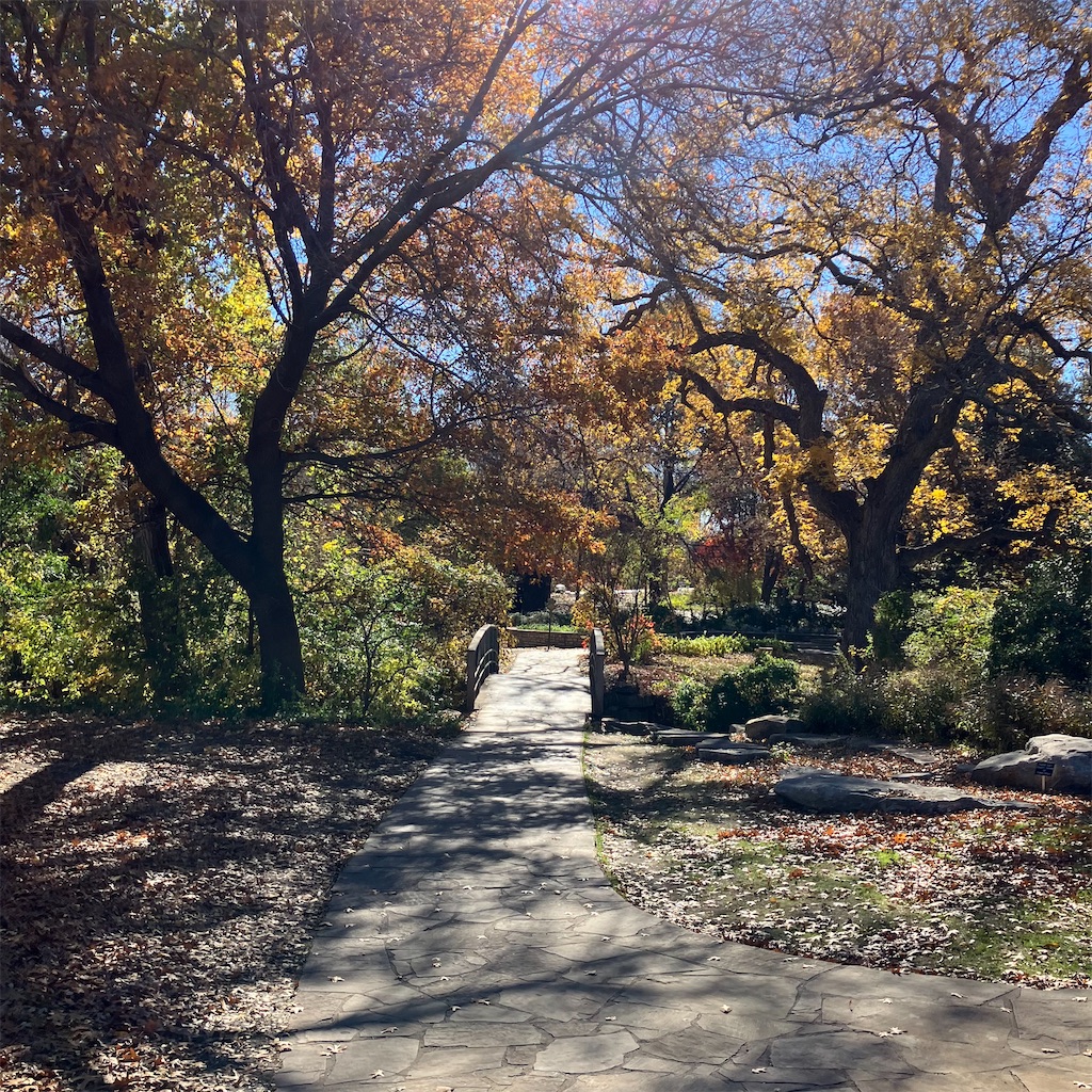 f:id:torilover:20231215122118j:image f:id:torilover:20231215122118j:image