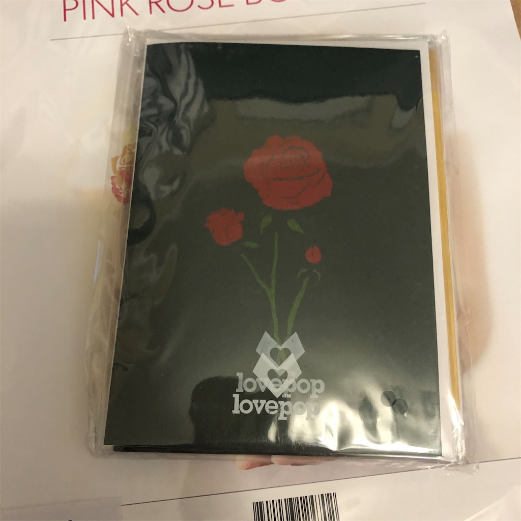 f:id:torilover:20240329020842j:image f:id:torilover:20240329020842j:image