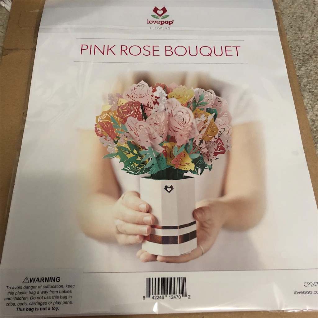 f:id:torilover:20240329020850j:image f:id:torilover:20240329020850j:image