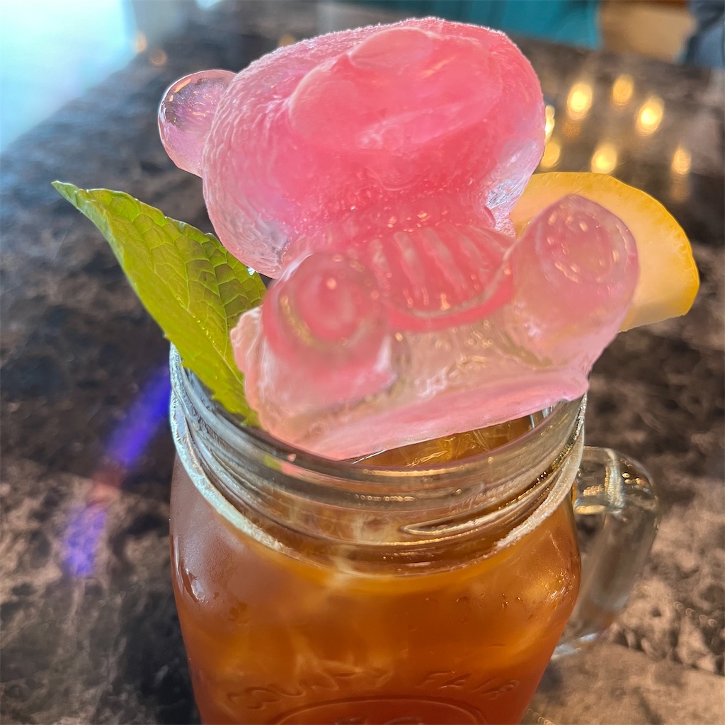 f:id:torilover:20240811173610j:image