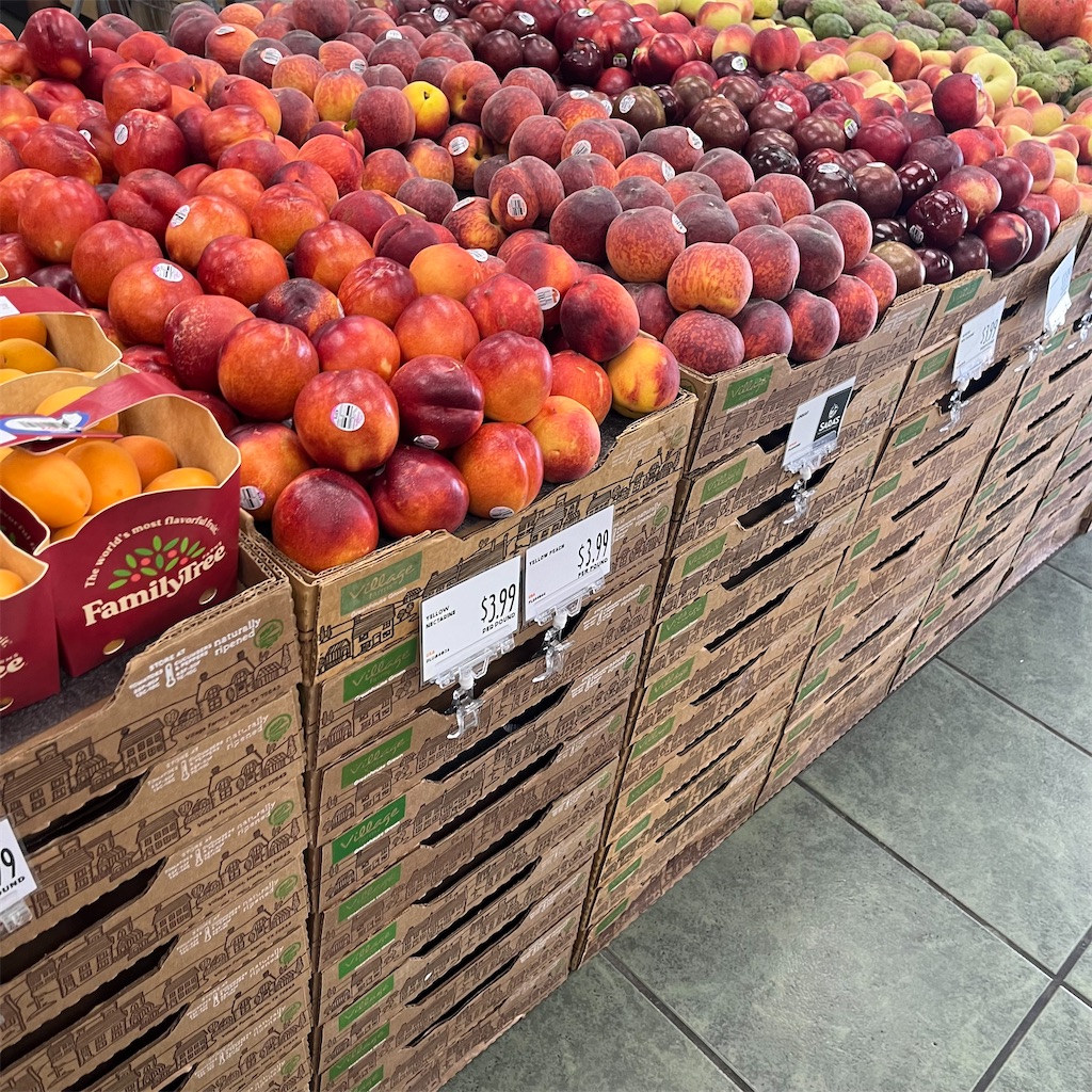 f:id:torilover:20251021171730j:image