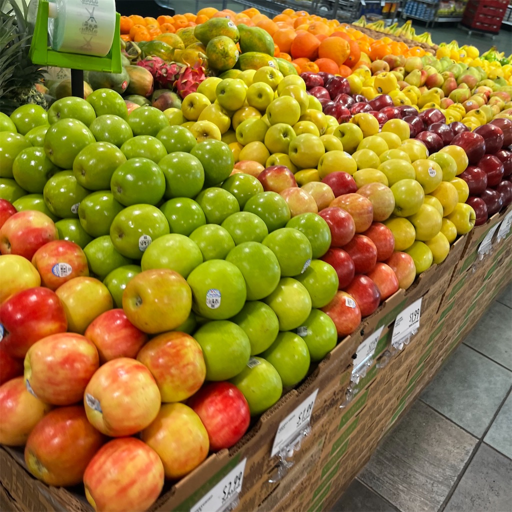 f:id:torilover:20251021171812j:image