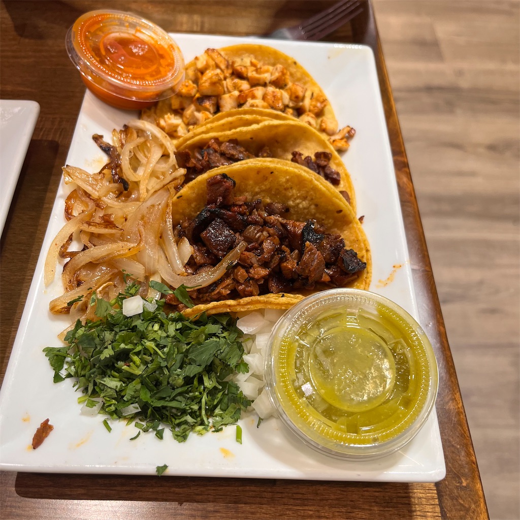 f:id:torilover:20260120095733j:image