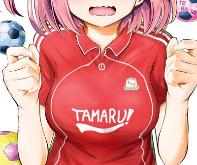 f:id:torimomo_d:20200227000710j:plain