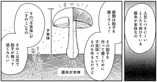 f:id:torimomo_d:20200509190457j:plain f:id:torimomo_d:20200509190457j:plain