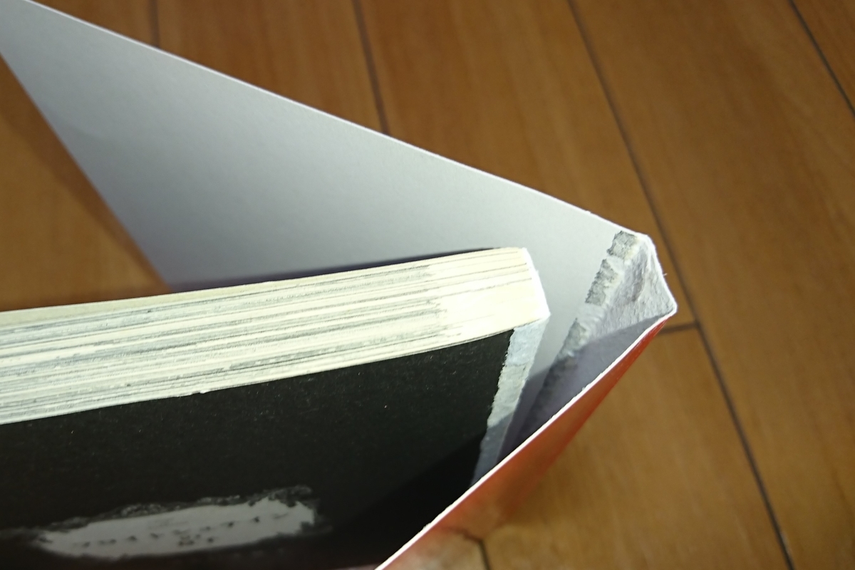 f:id:torimomo_d:20200621220219j:plain f:id:torimomo_d:20200621220219j:plain